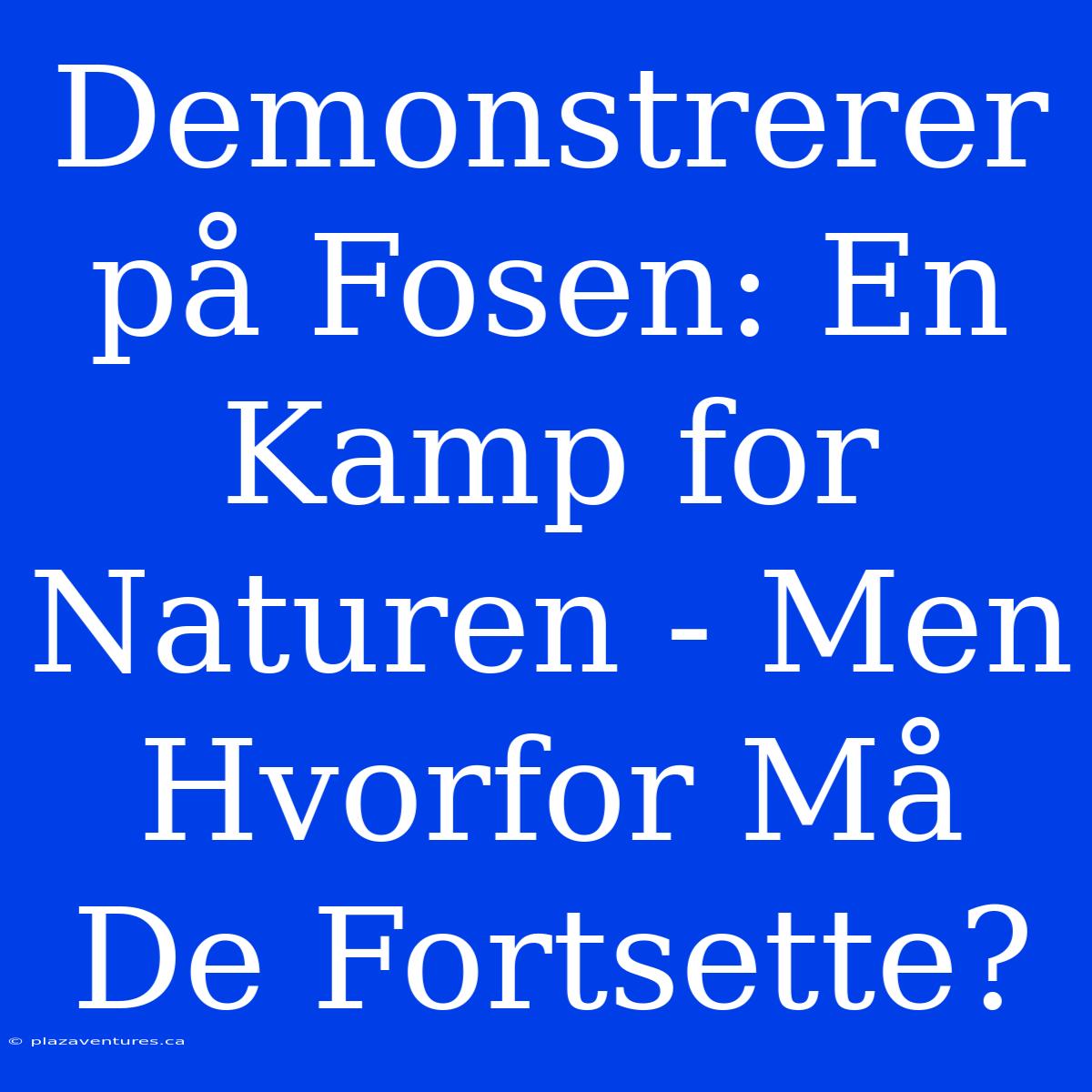 Demonstrerer På Fosen: En Kamp For Naturen - Men Hvorfor Må De Fortsette?