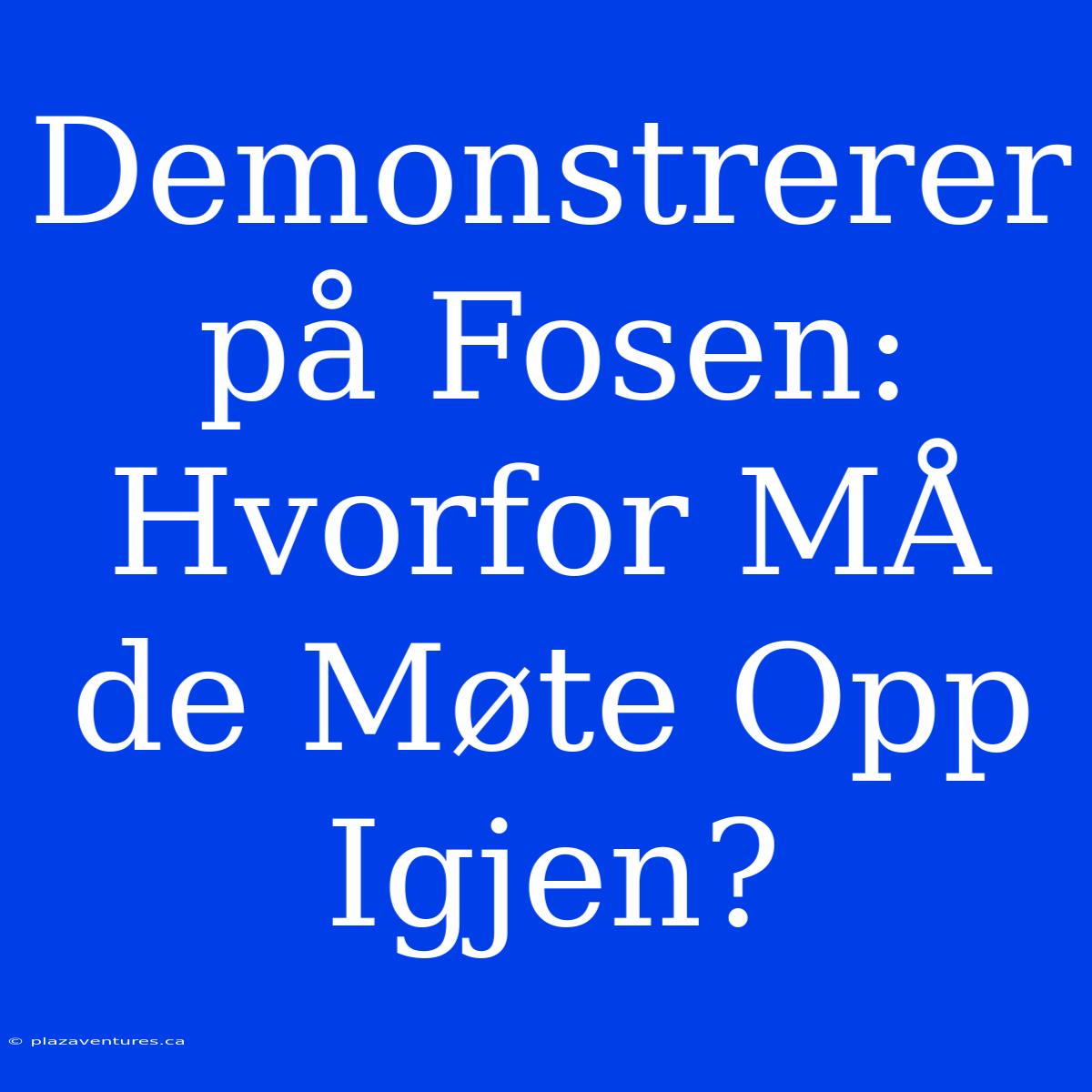 Demonstrerer På Fosen: Hvorfor MÅ De Møte Opp Igjen?