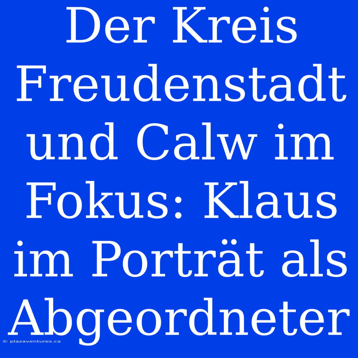 Der Kreis Freudenstadt Und Calw Im Fokus: Klaus Im Porträt Als Abgeordneter