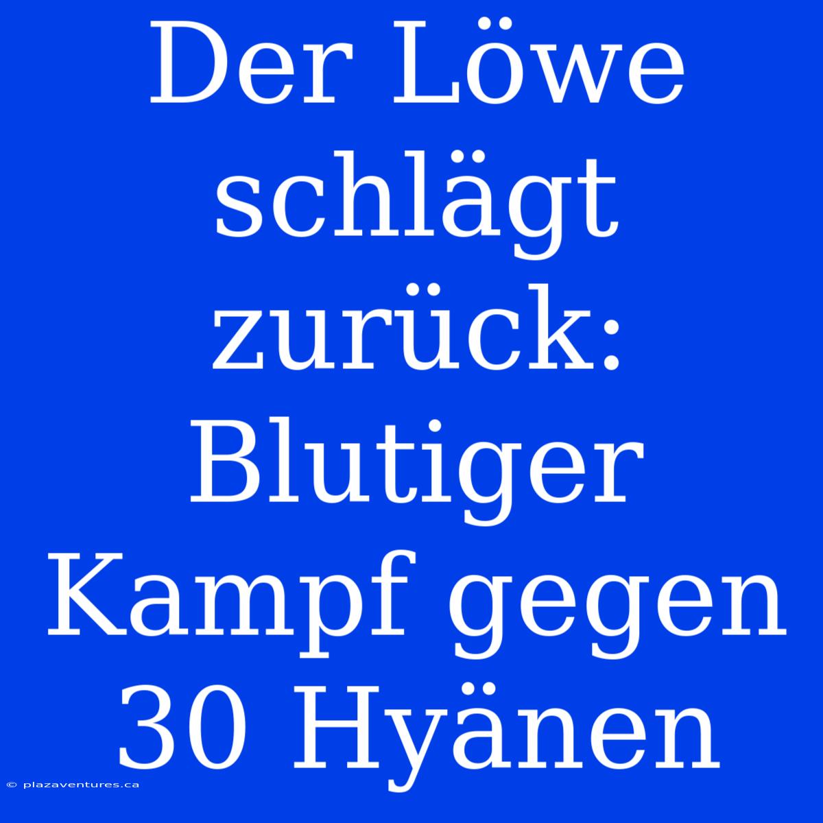 Der Löwe Schlägt Zurück: Blutiger Kampf Gegen 30 Hyänen