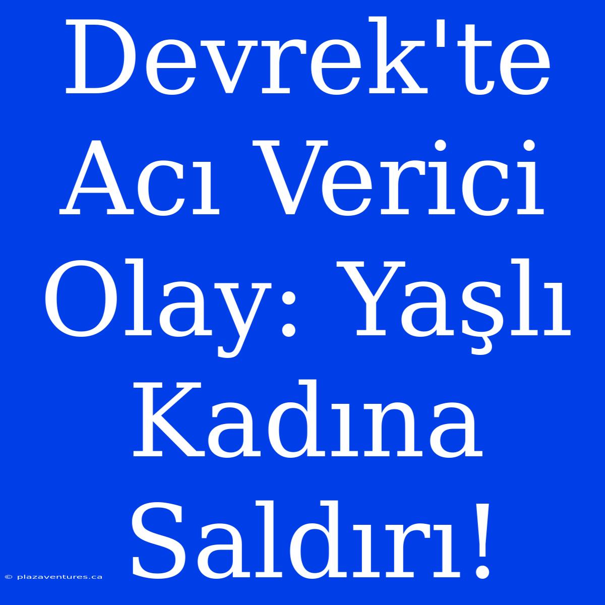 Devrek'te Acı Verici Olay: Yaşlı Kadına Saldırı!