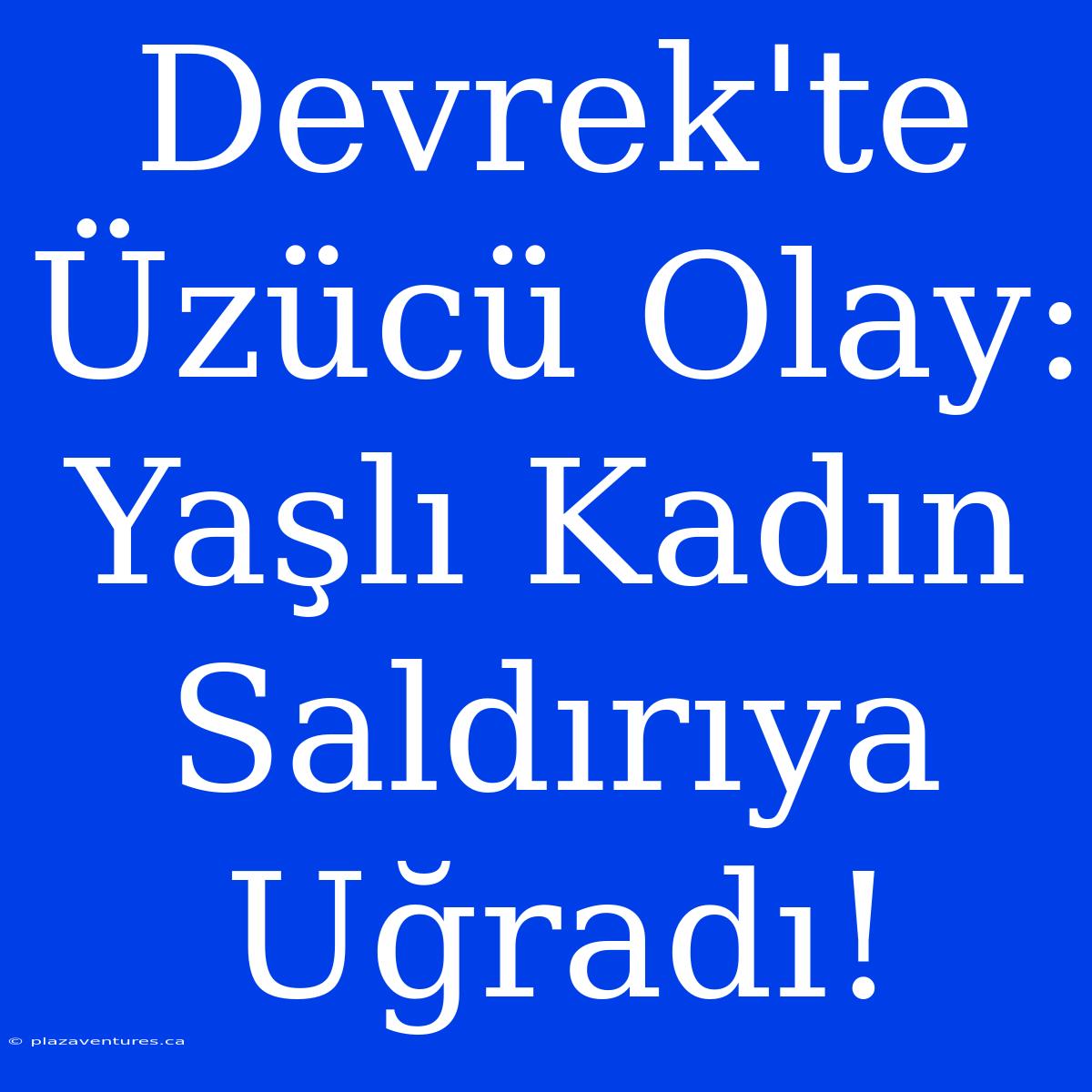 Devrek'te Üzücü Olay: Yaşlı Kadın Saldırıya Uğradı!