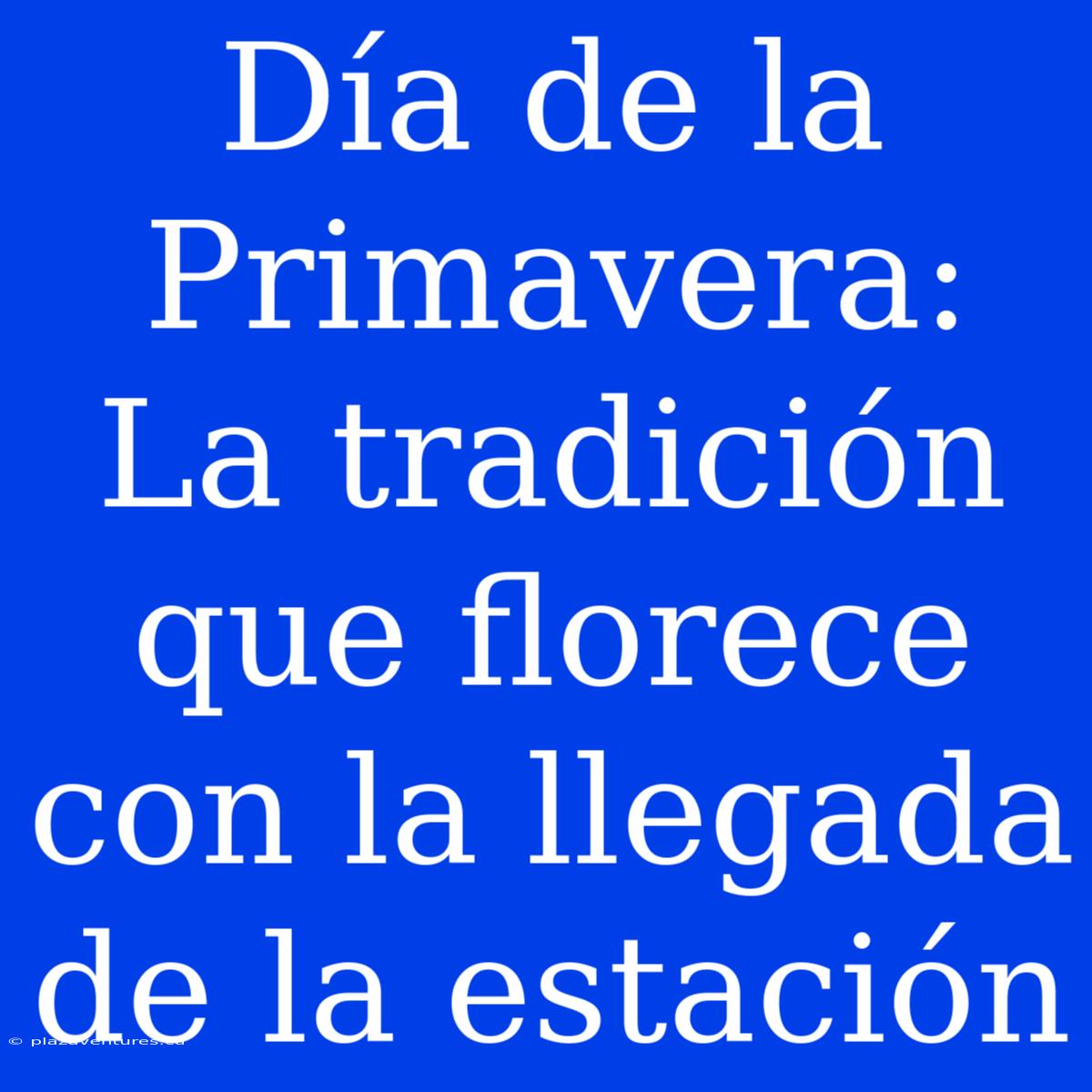 Día De La Primavera: La Tradición Que Florece Con La Llegada De La Estación