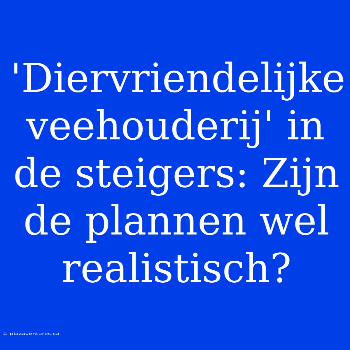 'Diervriendelijke Veehouderij' In De Steigers: Zijn De Plannen Wel Realistisch?