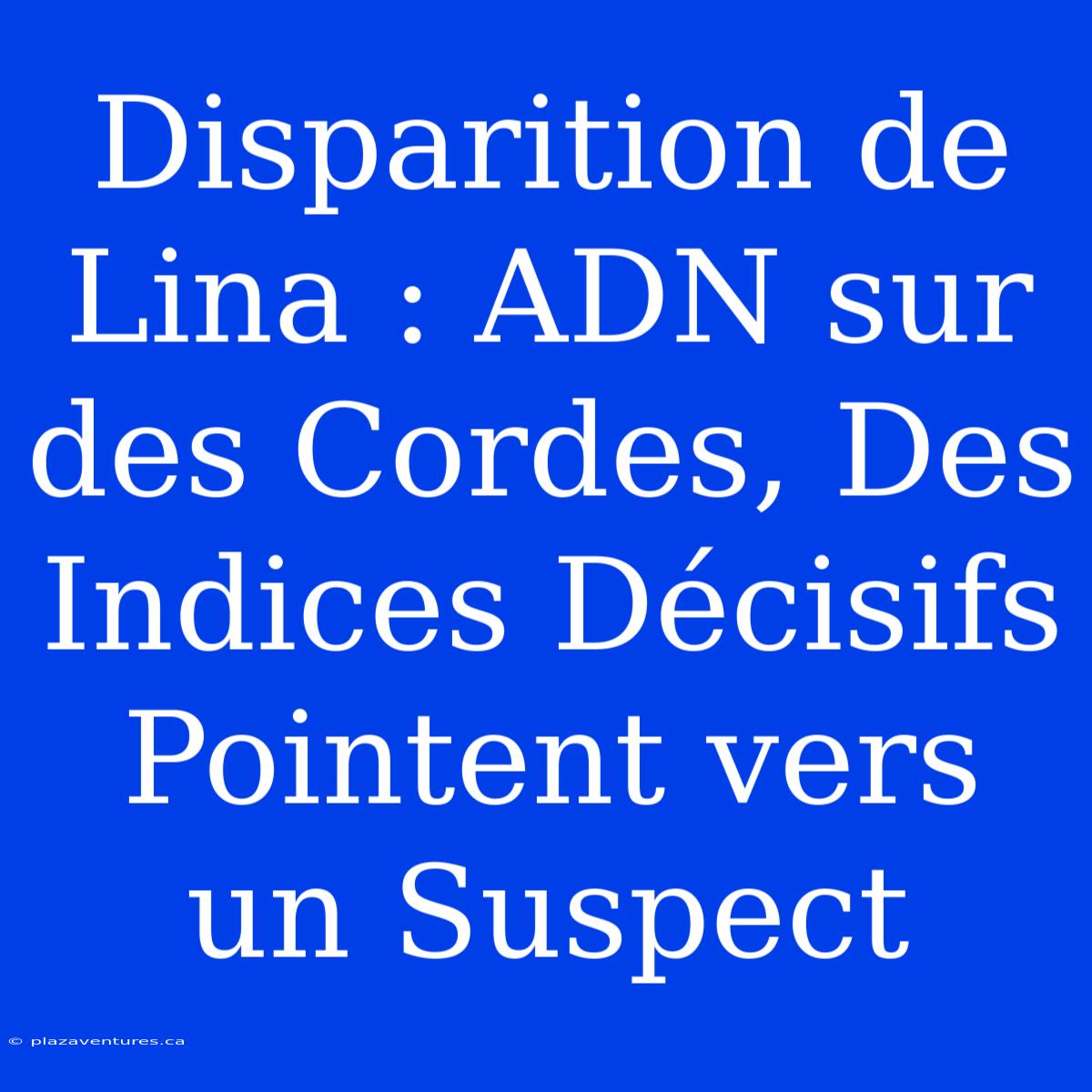 Disparition De Lina : ADN Sur Des Cordes, Des Indices Décisifs Pointent Vers Un Suspect