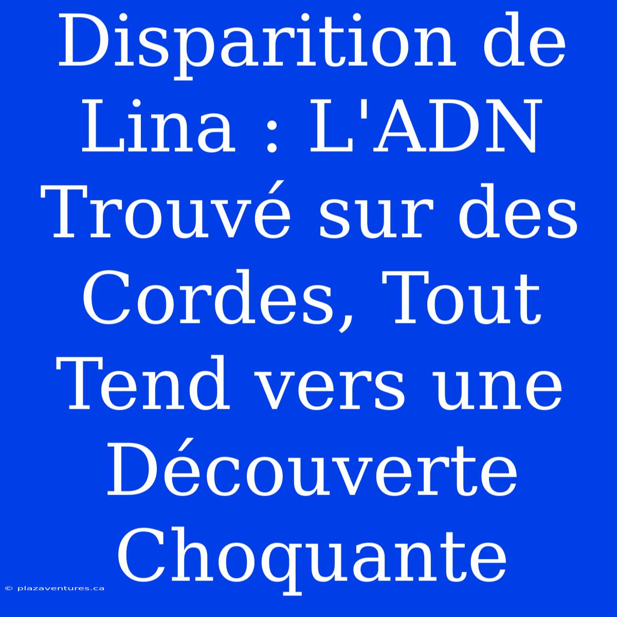 Disparition De Lina : L'ADN Trouvé Sur Des Cordes, Tout Tend Vers Une Découverte Choquante