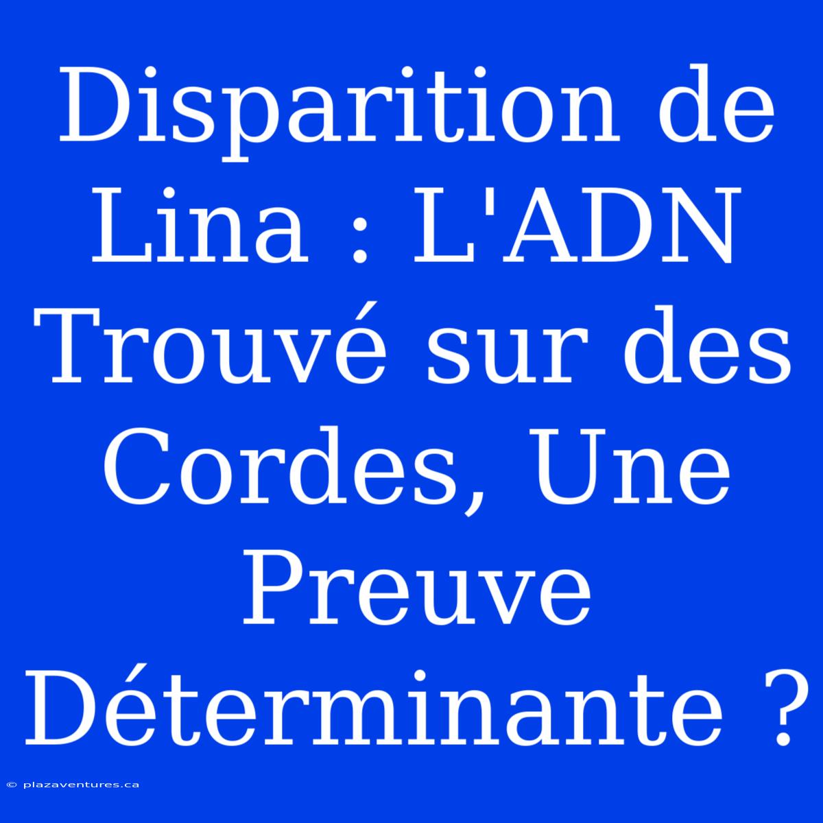 Disparition De Lina : L'ADN Trouvé Sur Des Cordes, Une Preuve Déterminante ?