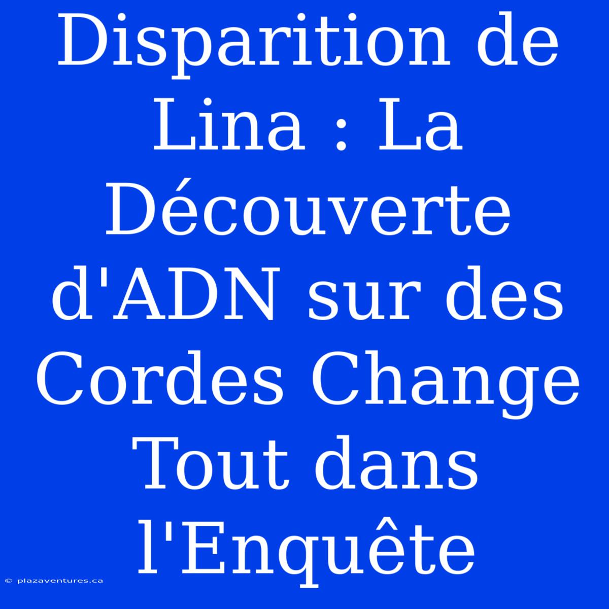 Disparition De Lina : La Découverte D'ADN Sur Des Cordes Change Tout Dans L'Enquête