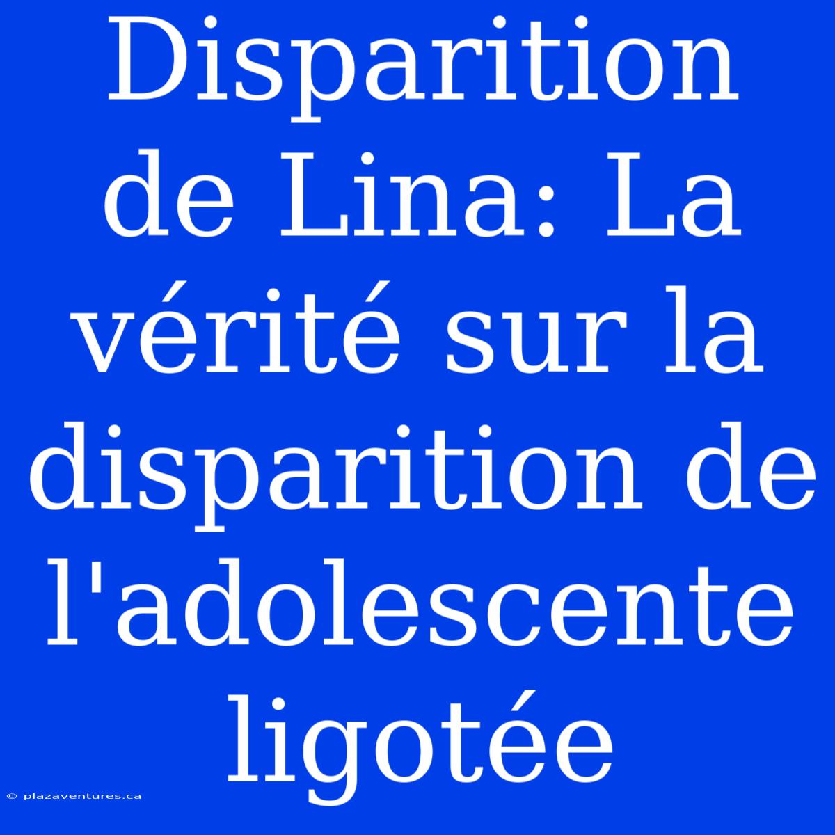 Disparition De Lina: La Vérité Sur La Disparition De L'adolescente Ligotée