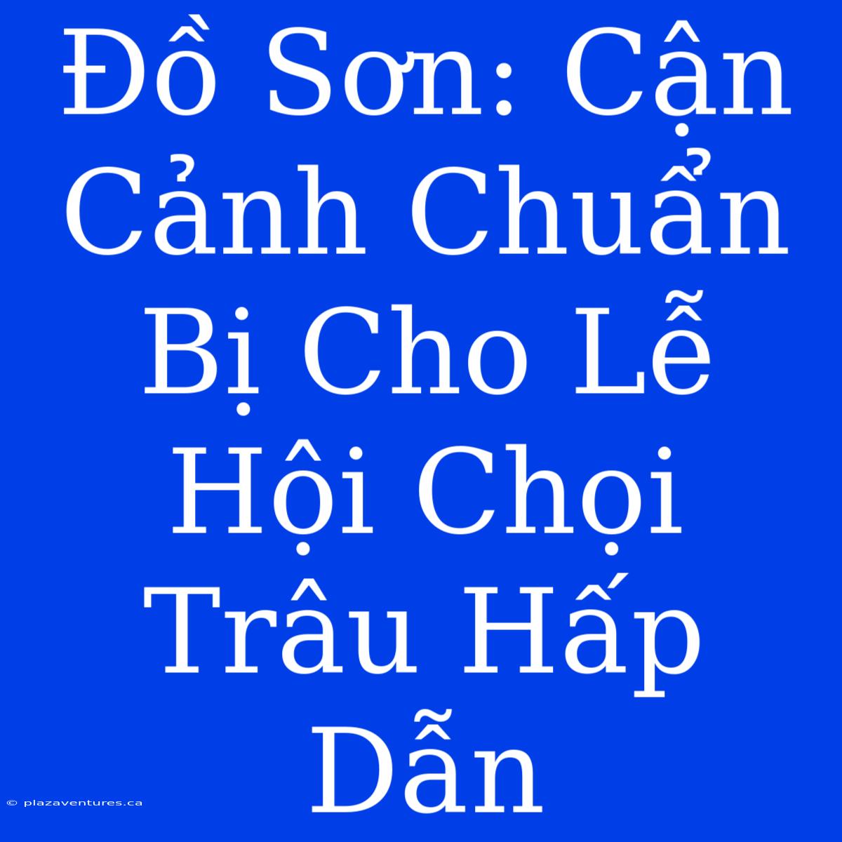 Đồ Sơn: Cận Cảnh Chuẩn Bị Cho Lễ Hội Chọi Trâu Hấp Dẫn