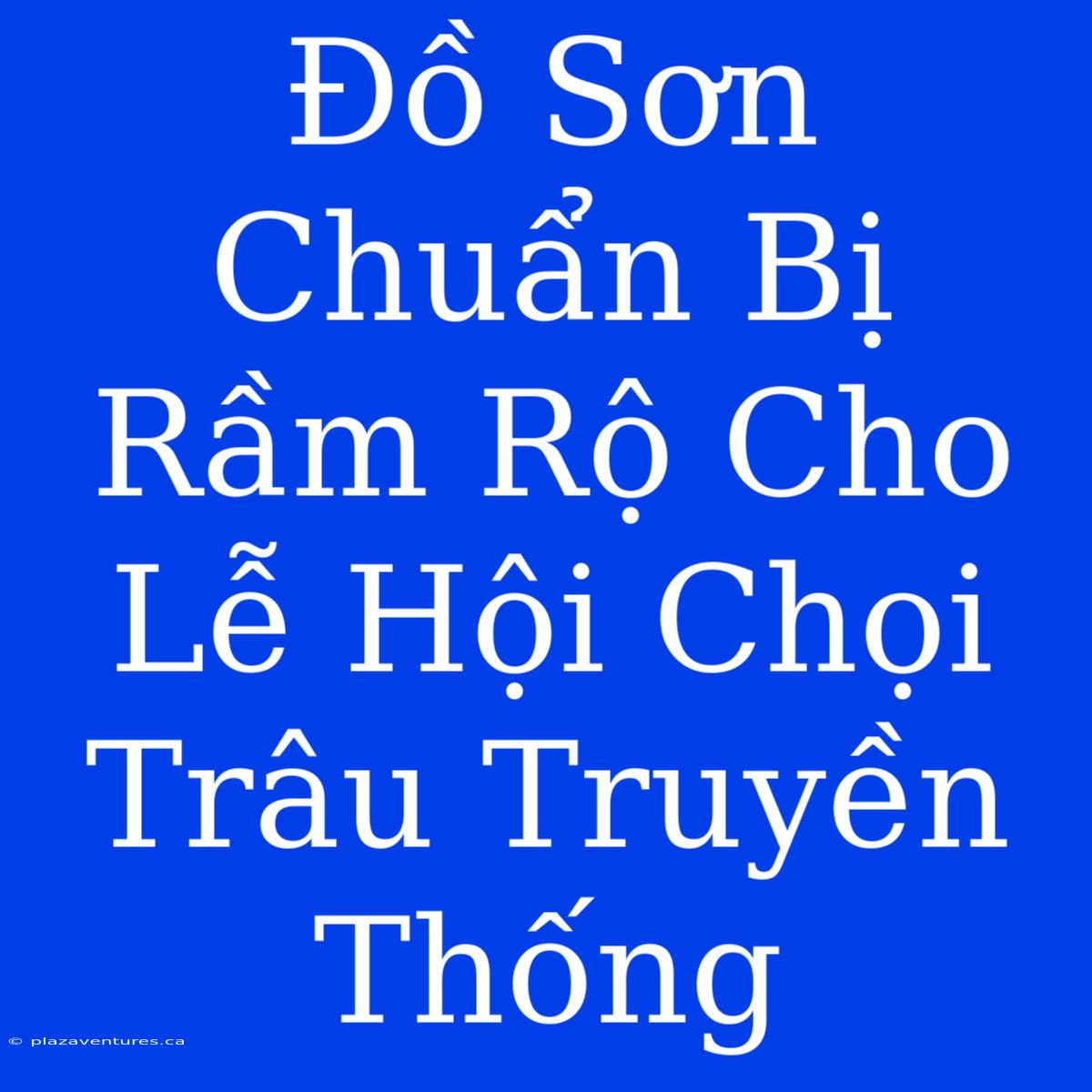 Đồ Sơn Chuẩn Bị Rầm Rộ Cho Lễ Hội Chọi Trâu Truyền Thống