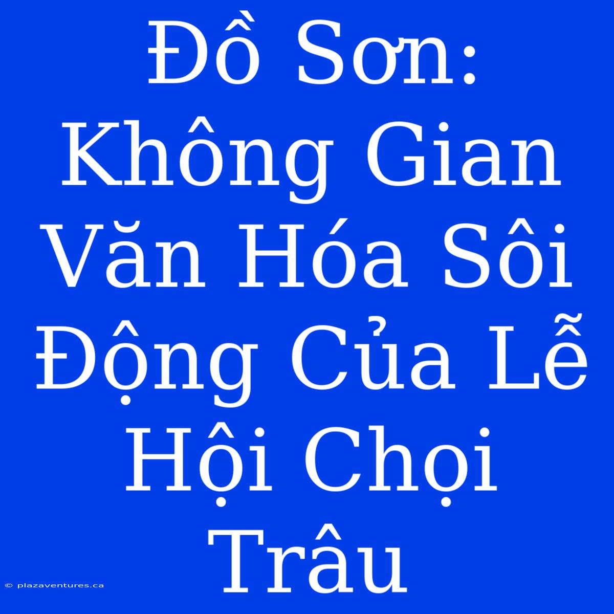 Đồ Sơn: Không Gian Văn Hóa Sôi Động Của Lễ Hội Chọi Trâu