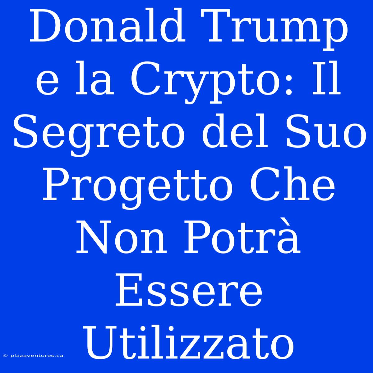 Donald Trump E La Crypto: Il Segreto Del Suo Progetto Che Non Potrà Essere Utilizzato