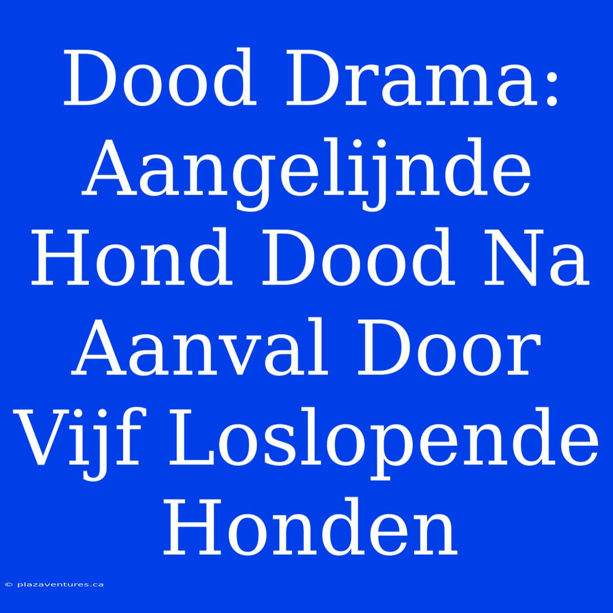 Dood Drama: Aangelijnde Hond Dood Na Aanval Door Vijf Loslopende Honden