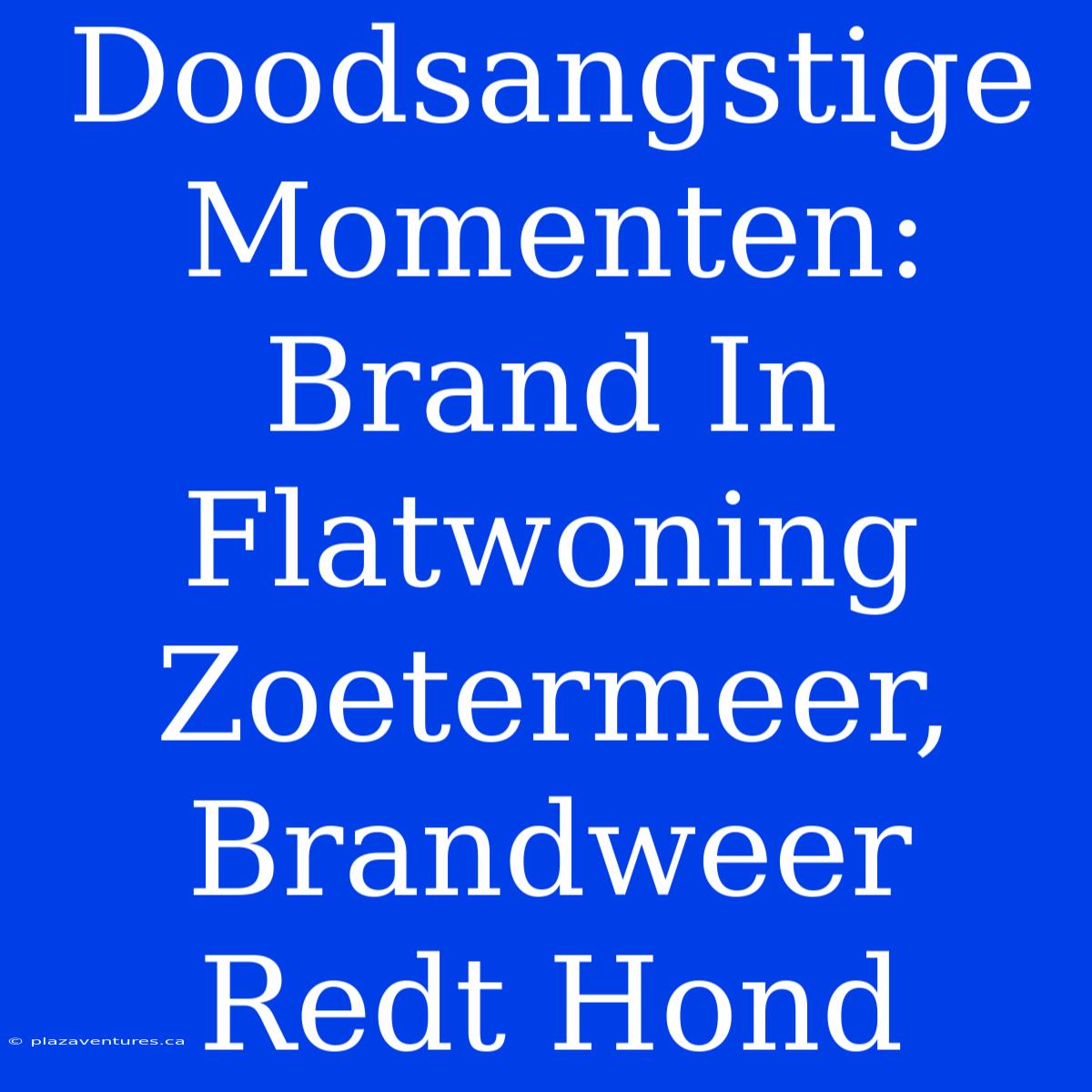 Doodsangstige Momenten: Brand In Flatwoning Zoetermeer, Brandweer Redt Hond