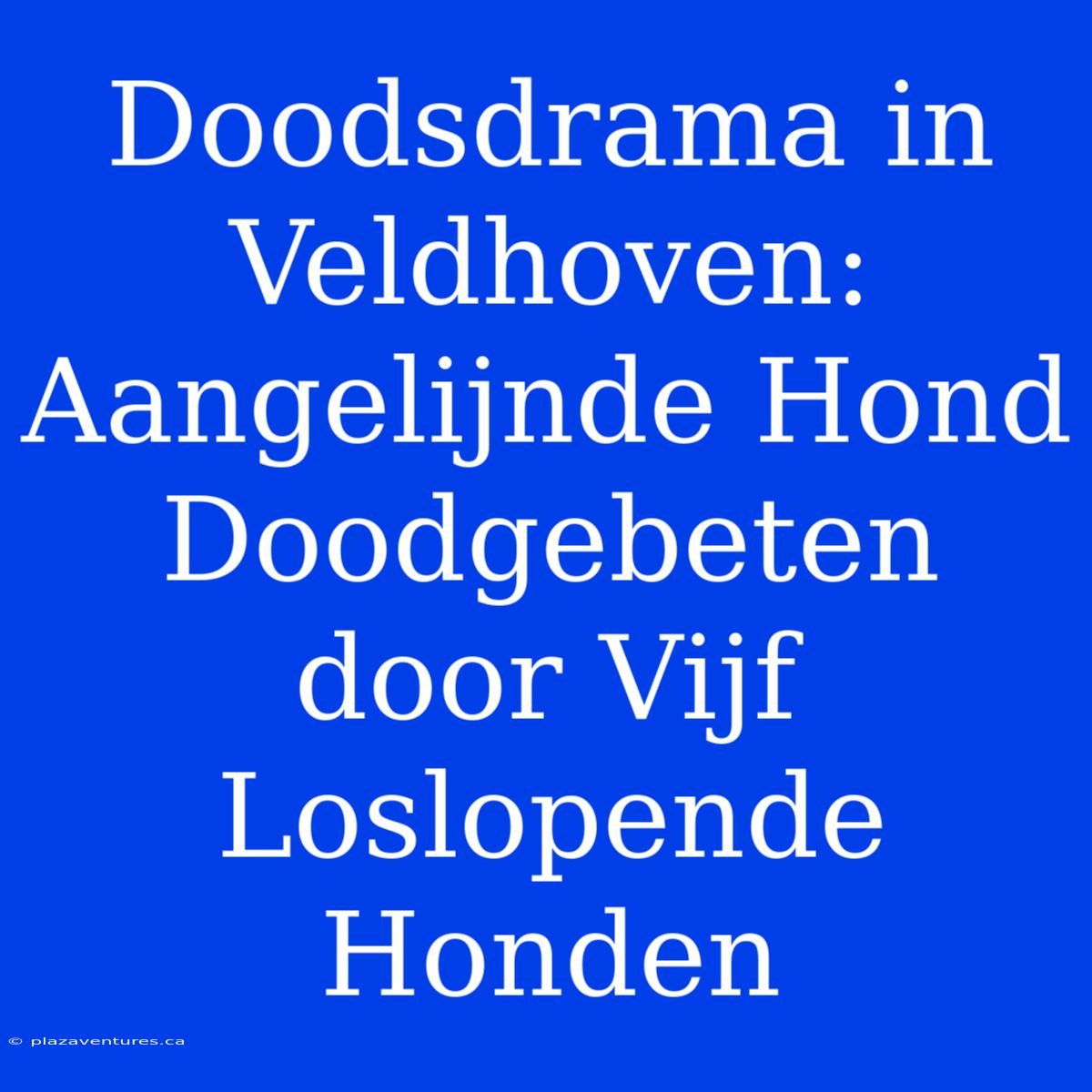 Doodsdrama In Veldhoven: Aangelijnde Hond Doodgebeten Door Vijf Loslopende Honden