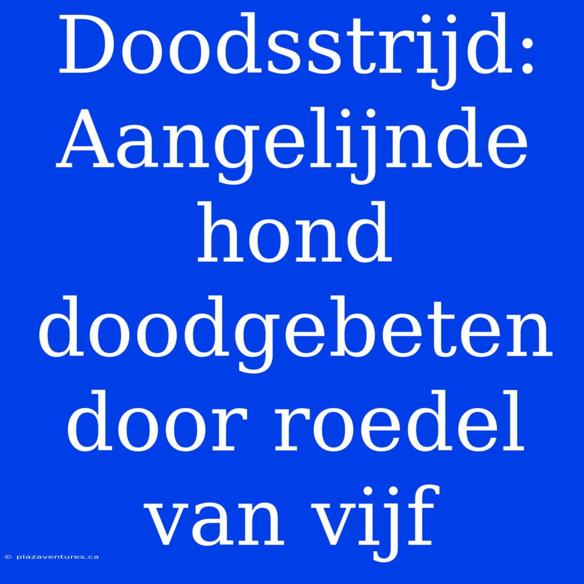 Doodsstrijd: Aangelijnde Hond Doodgebeten Door Roedel Van Vijf