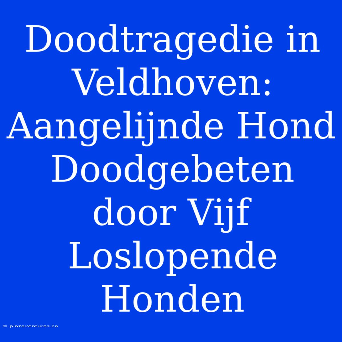 Doodtragedie In Veldhoven: Aangelijnde Hond Doodgebeten Door Vijf Loslopende Honden