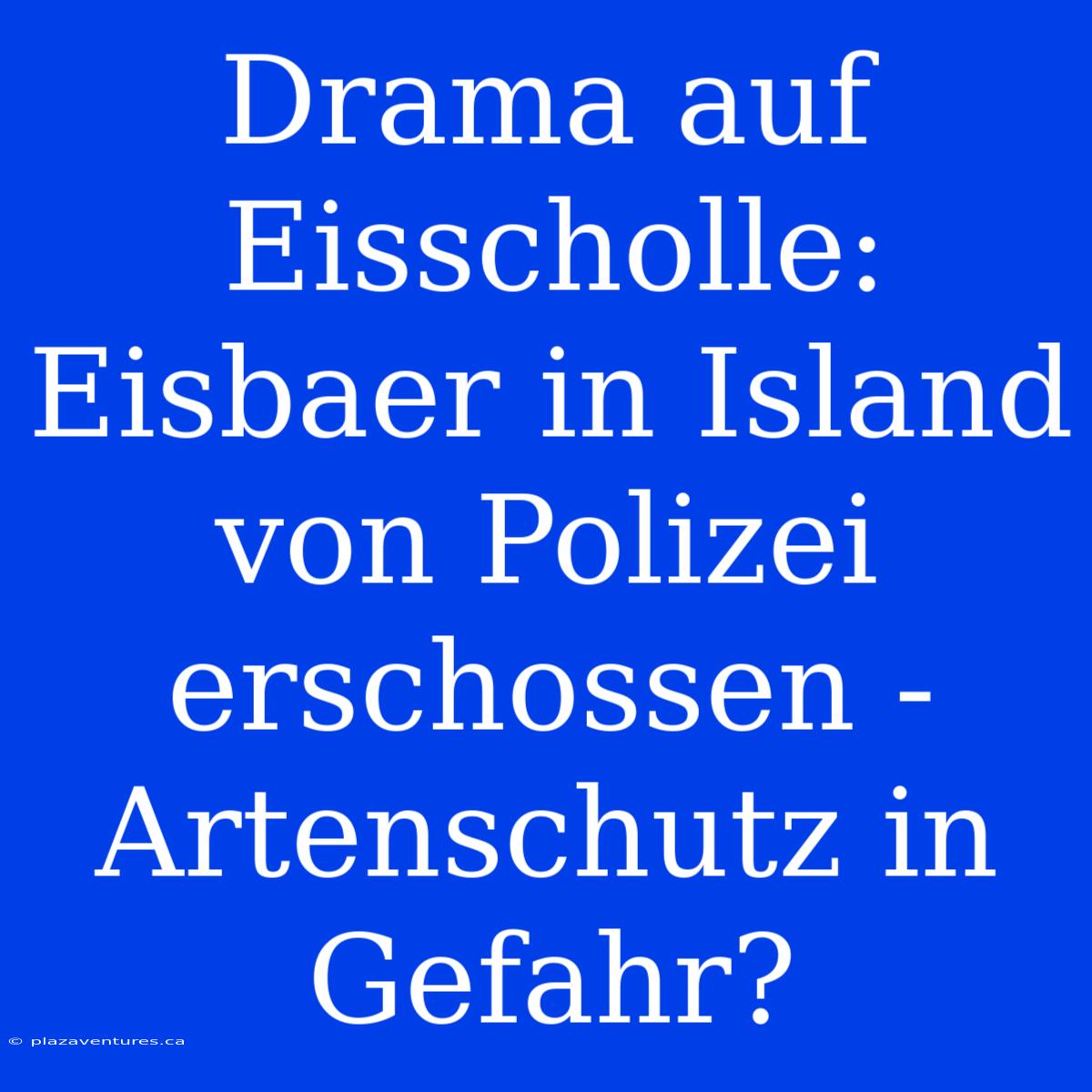 Drama Auf Eisscholle: Eisbaer In Island Von Polizei Erschossen - Artenschutz In Gefahr?