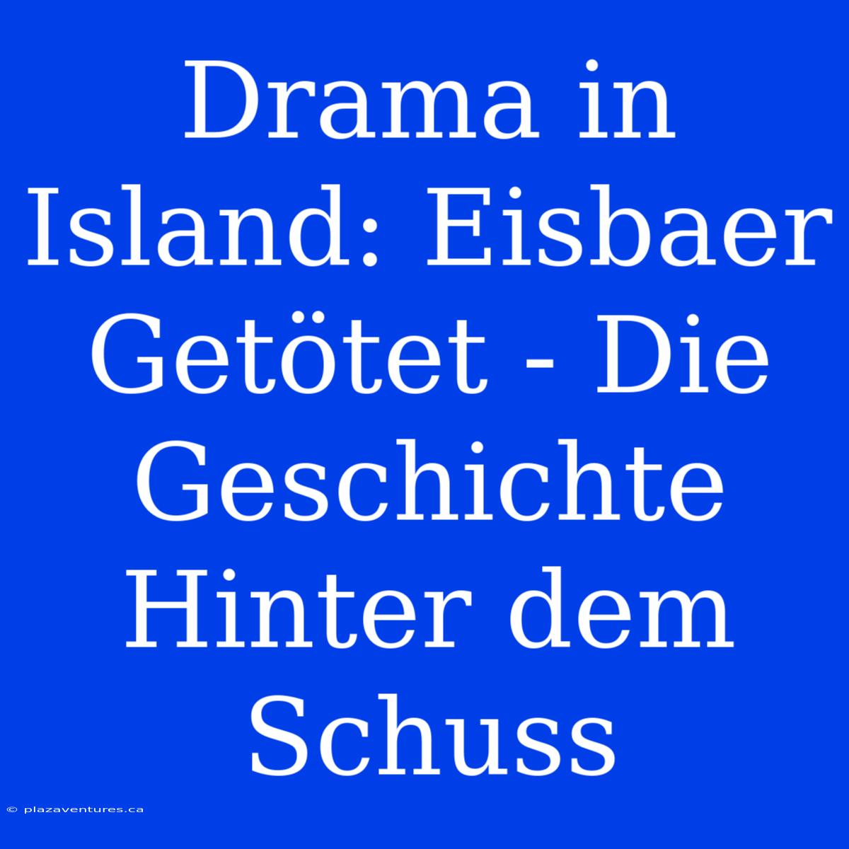 Drama In Island: Eisbaer Getötet - Die Geschichte Hinter Dem Schuss