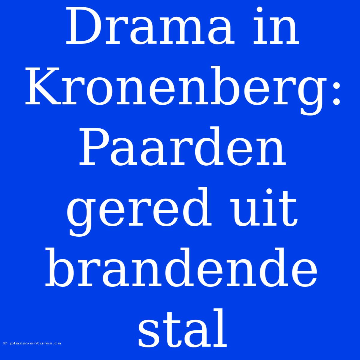 Drama In Kronenberg: Paarden Gered Uit Brandende Stal