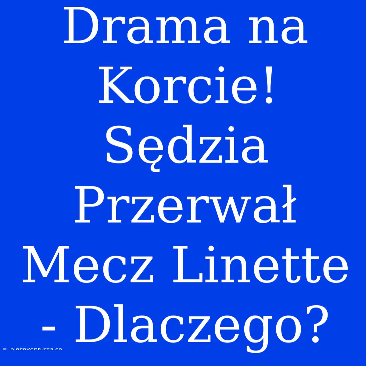 Drama Na Korcie! Sędzia Przerwał Mecz Linette - Dlaczego?