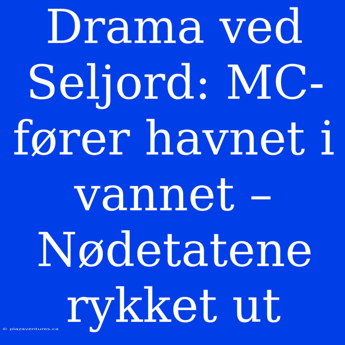 Drama Ved Seljord: MC-fører Havnet I Vannet – Nødetatene Rykket Ut