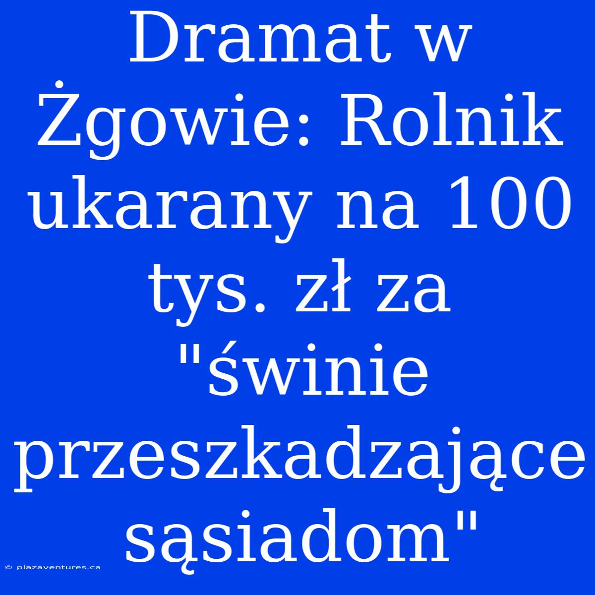 Dramat W Żgowie: Rolnik Ukarany Na 100 Tys. Zł Za 