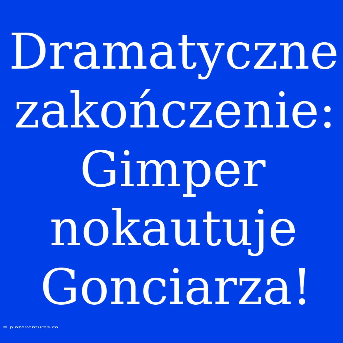 Dramatyczne Zakończenie: Gimper Nokautuje Gonciarza!