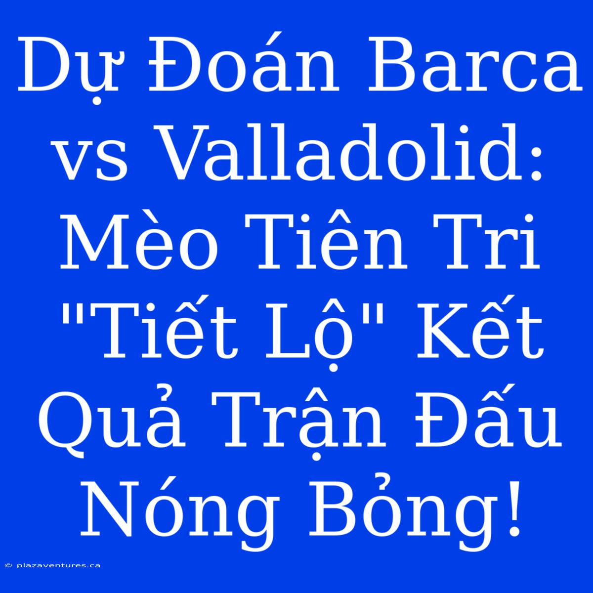 Dự Đoán Barca Vs Valladolid: Mèo Tiên Tri 