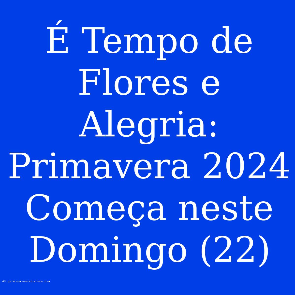 É Tempo De Flores E Alegria: Primavera 2024 Começa Neste Domingo (22)