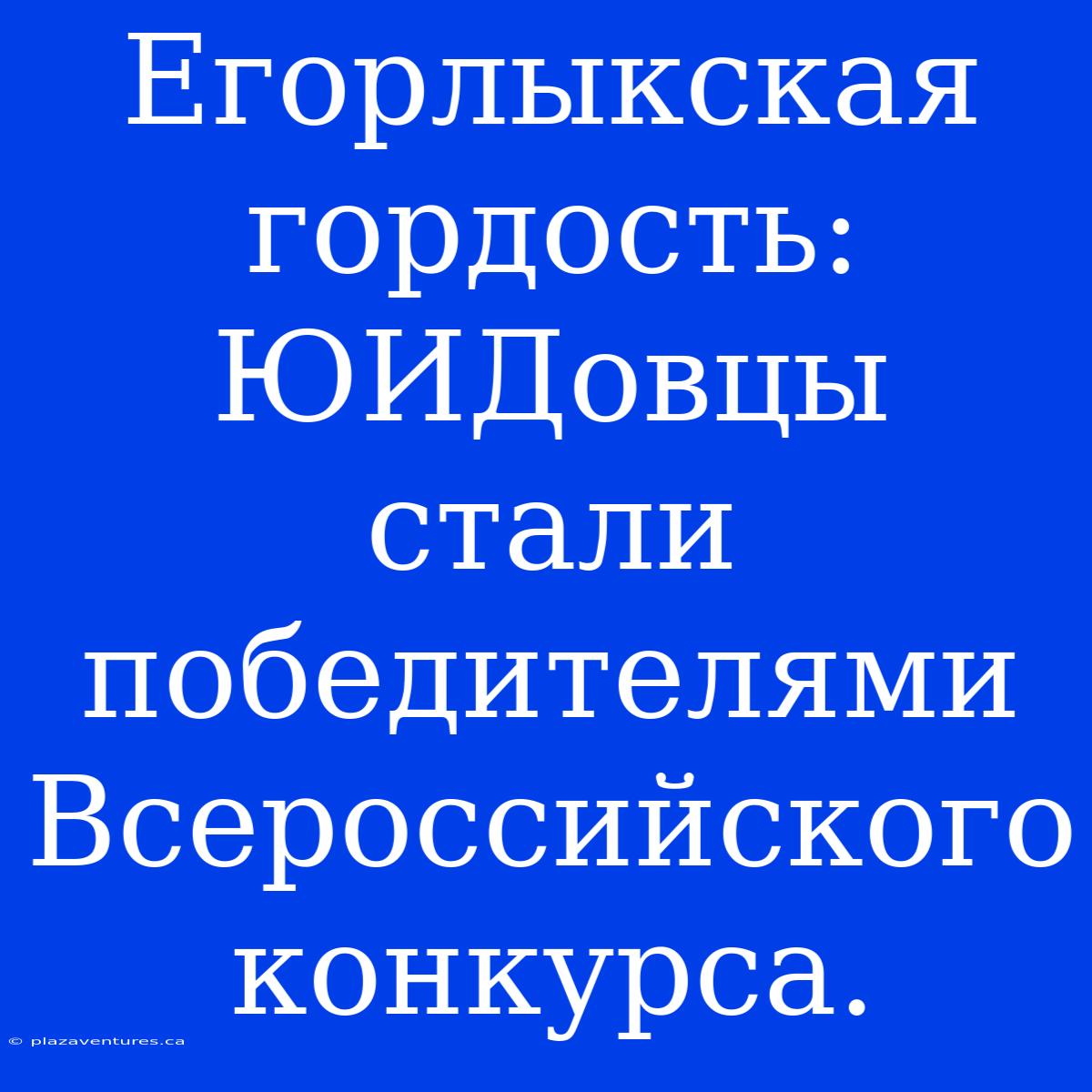 Егорлыкская Гордость: ЮИДовцы Стали Победителями Всероссийского Конкурса.