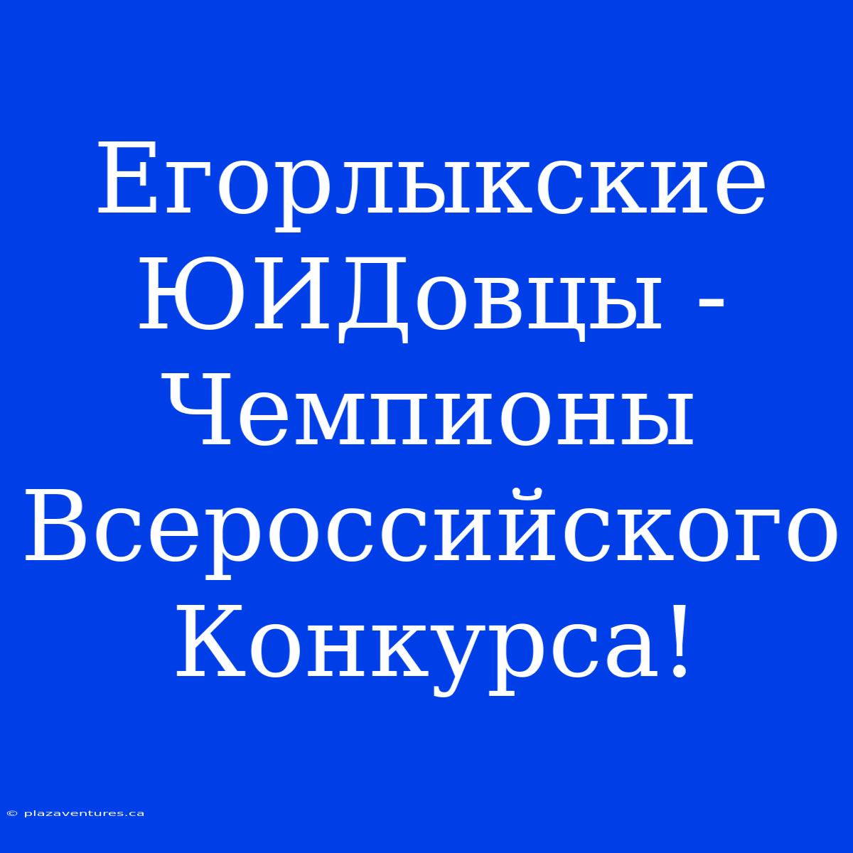 Егорлыкские ЮИДовцы - Чемпионы Всероссийского Конкурса!