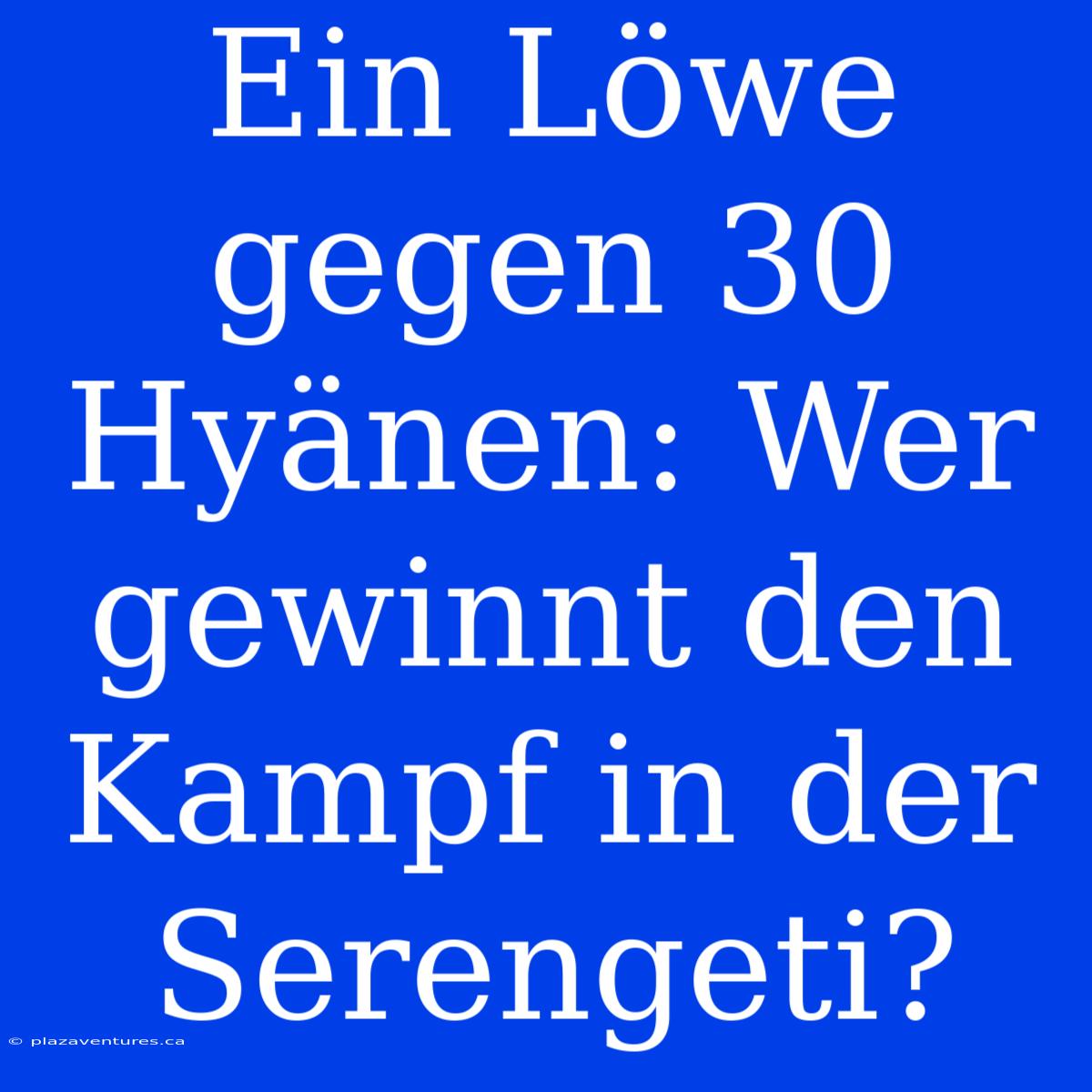 Ein Löwe Gegen 30 Hyänen: Wer Gewinnt Den Kampf In Der Serengeti?