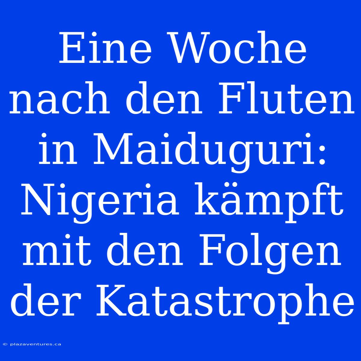 Eine Woche Nach Den Fluten In Maiduguri: Nigeria Kämpft Mit Den Folgen Der Katastrophe