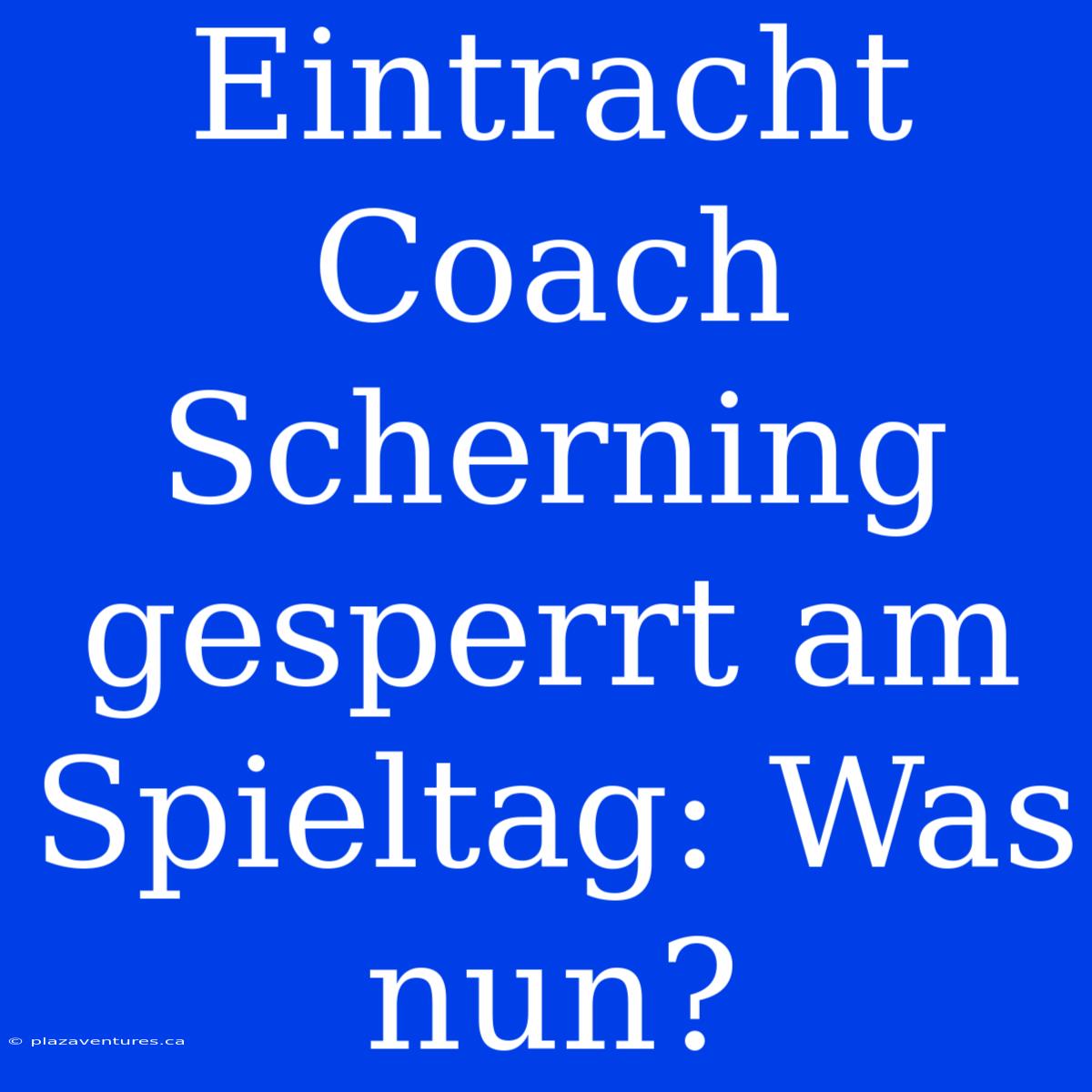 Eintracht Coach Scherning Gesperrt Am Spieltag: Was Nun?