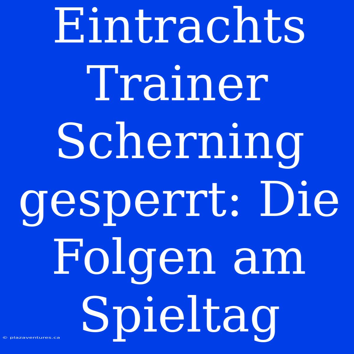 Eintrachts Trainer Scherning Gesperrt: Die Folgen Am Spieltag