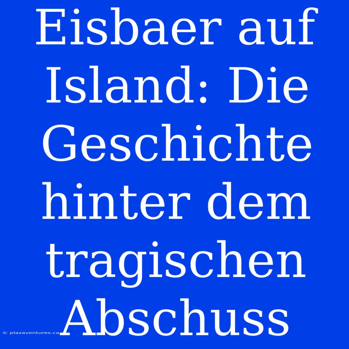 Eisbaer Auf Island: Die Geschichte Hinter Dem Tragischen Abschuss