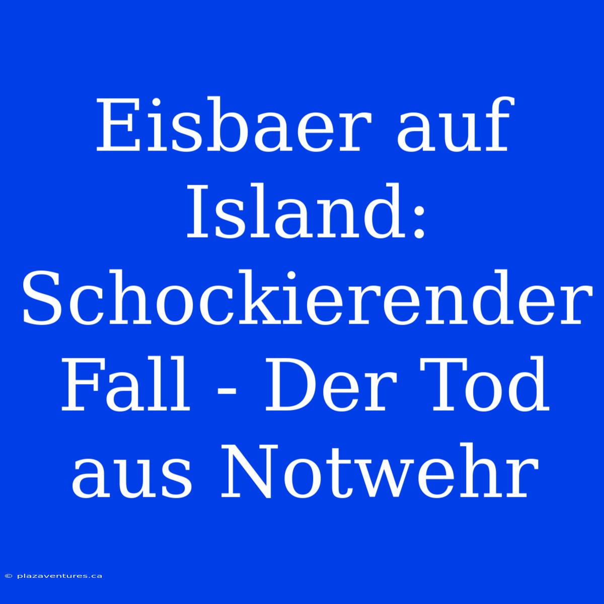 Eisbaer Auf Island: Schockierender Fall - Der Tod Aus Notwehr