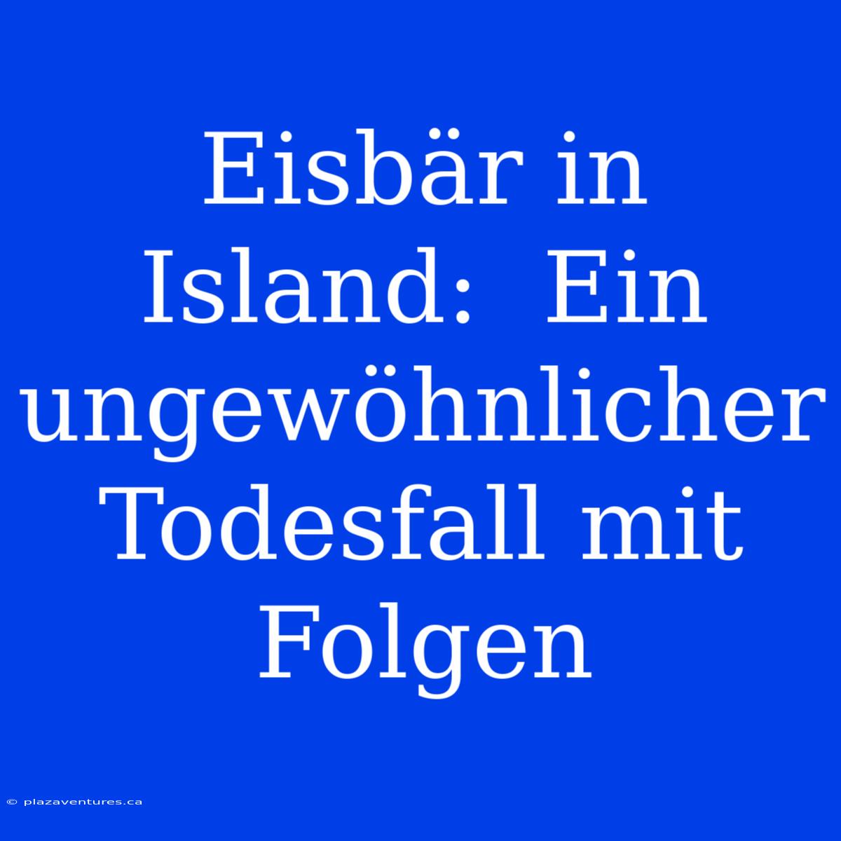 Eisbär In Island:  Ein Ungewöhnlicher Todesfall Mit Folgen