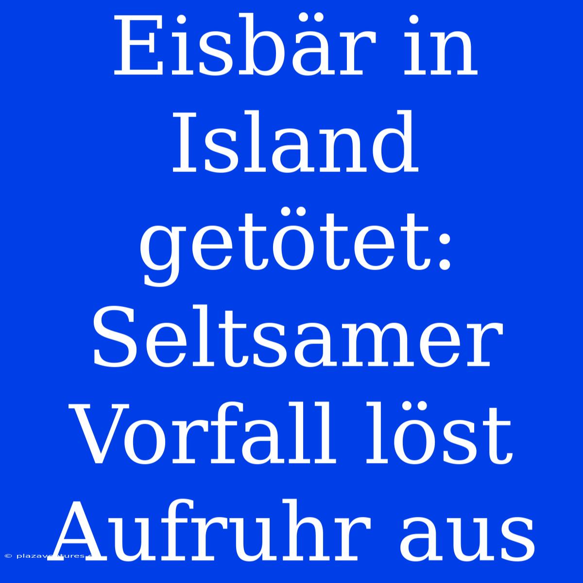 Eisbär In Island Getötet: Seltsamer Vorfall Löst Aufruhr Aus