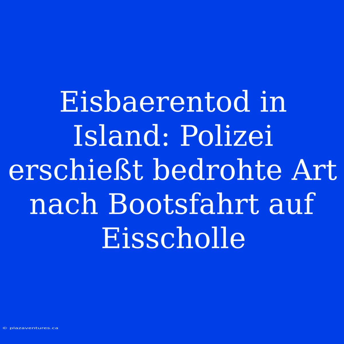 Eisbaerentod In Island: Polizei Erschießt Bedrohte Art Nach Bootsfahrt Auf Eisscholle