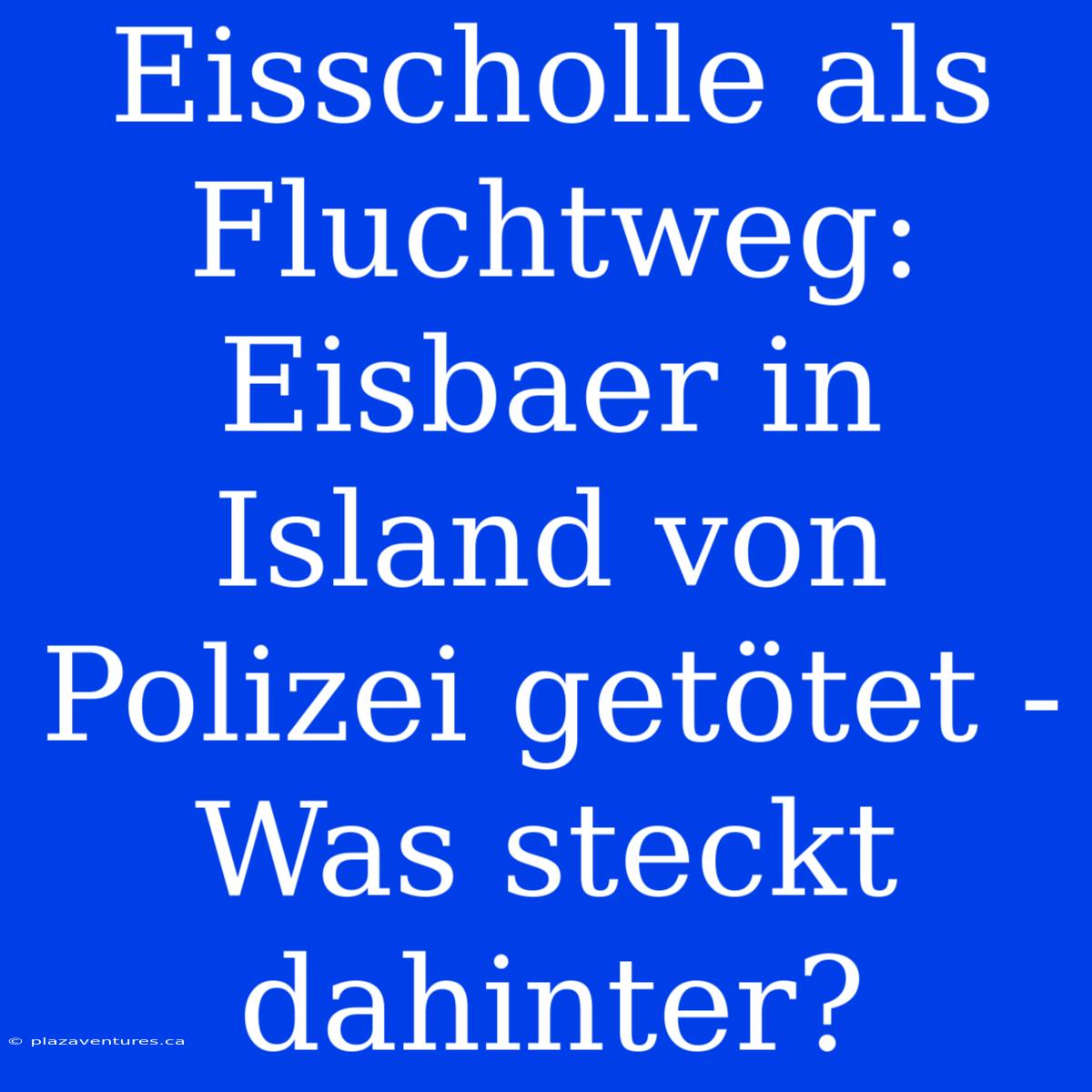 Eisscholle Als Fluchtweg: Eisbaer In Island Von Polizei Getötet - Was Steckt Dahinter?