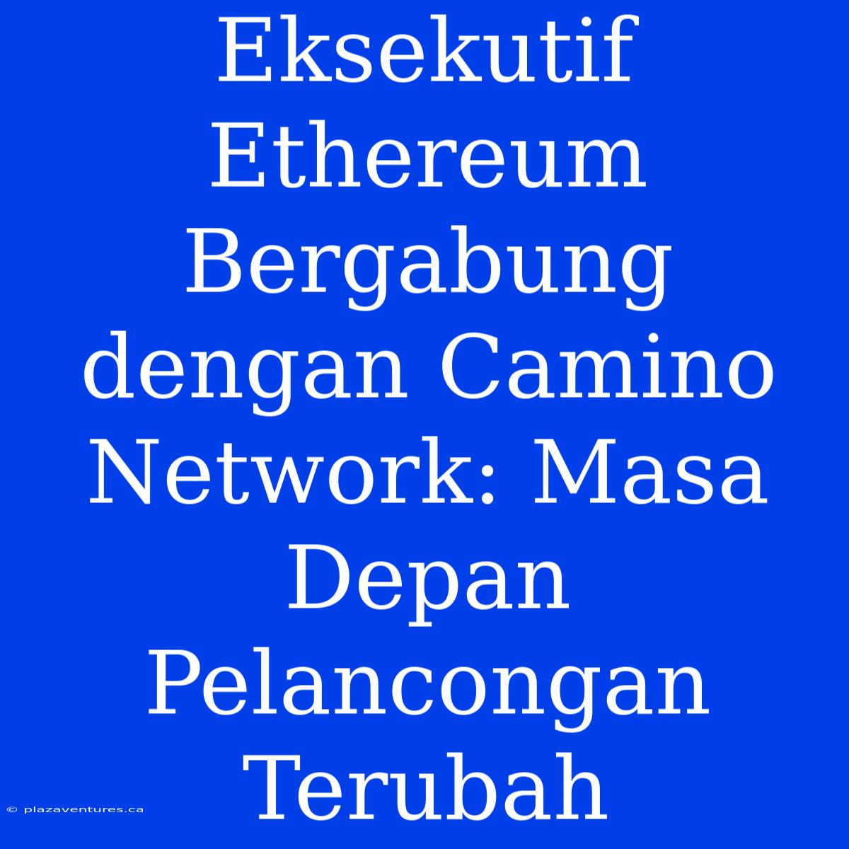 Eksekutif Ethereum Bergabung Dengan Camino Network: Masa Depan Pelancongan Terubah