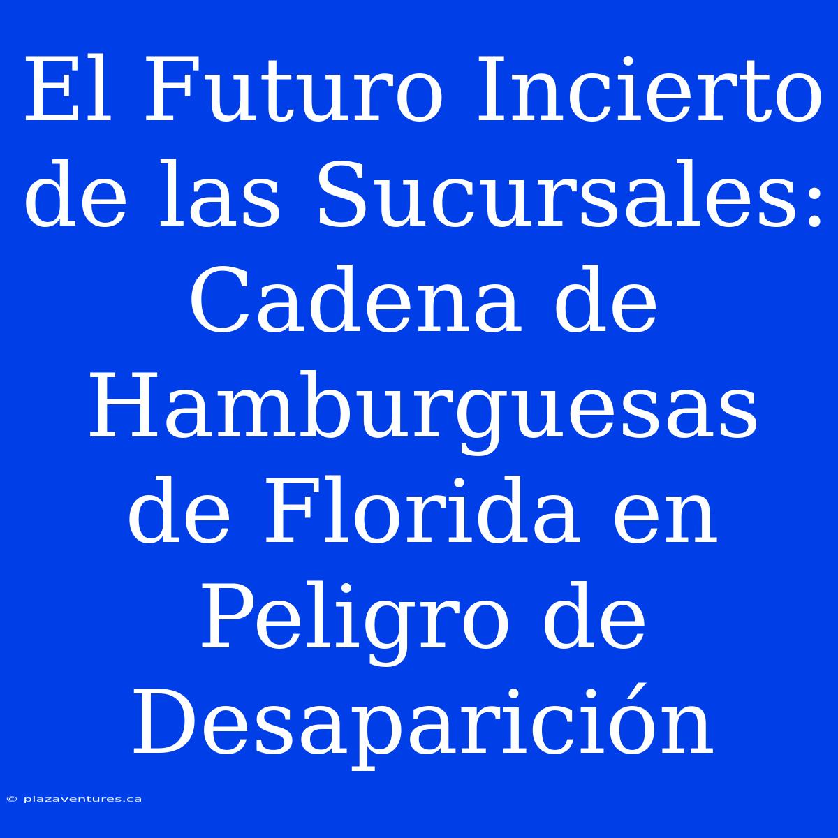 El Futuro Incierto De Las Sucursales: Cadena De Hamburguesas De Florida En Peligro De Desaparición