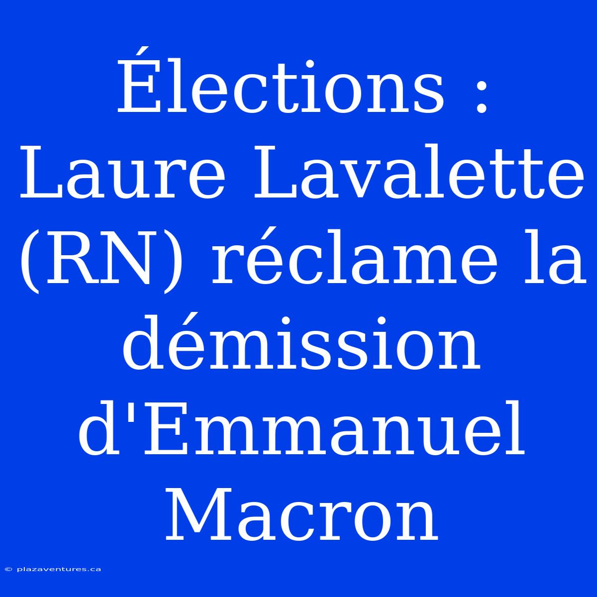 Élections : Laure Lavalette (RN) Réclame La Démission D'Emmanuel Macron