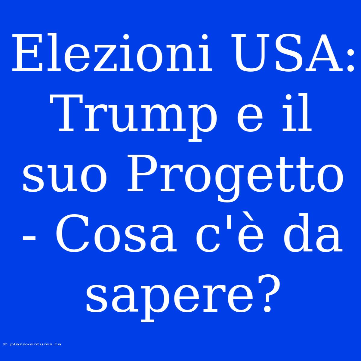 Elezioni USA: Trump E Il Suo Progetto - Cosa C'è Da Sapere?