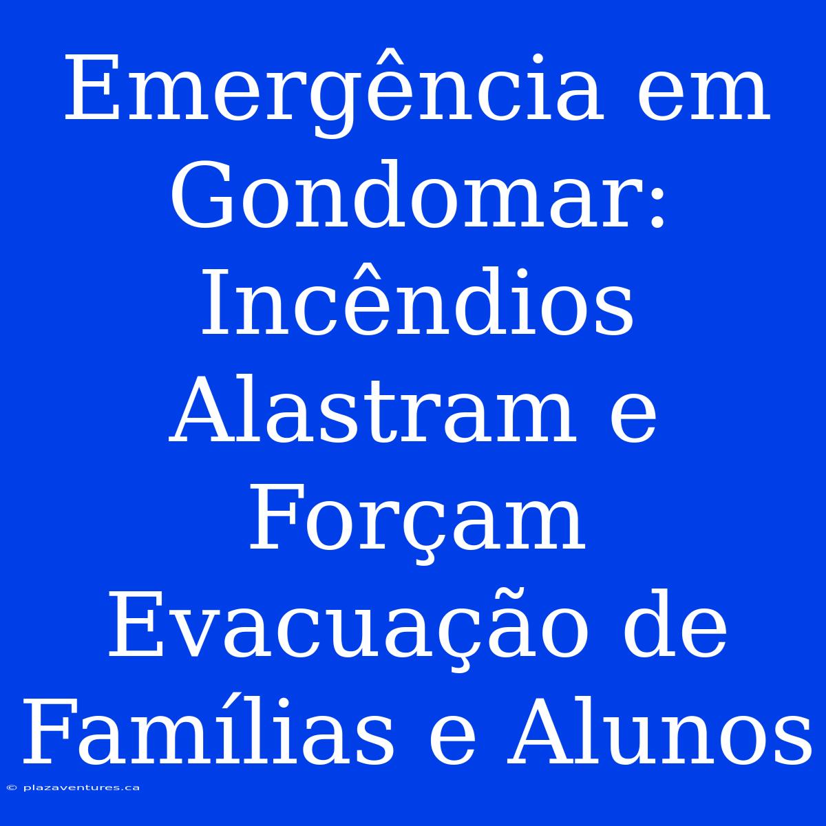 Emergência Em Gondomar: Incêndios Alastram E Forçam Evacuação De Famílias E Alunos