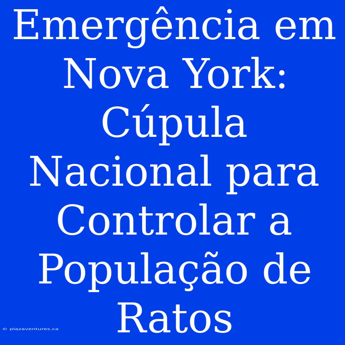 Emergência Em Nova York: Cúpula Nacional Para Controlar A População De Ratos