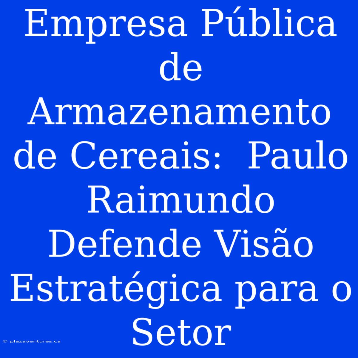 Empresa Pública De Armazenamento De Cereais:  Paulo Raimundo Defende Visão Estratégica Para O Setor